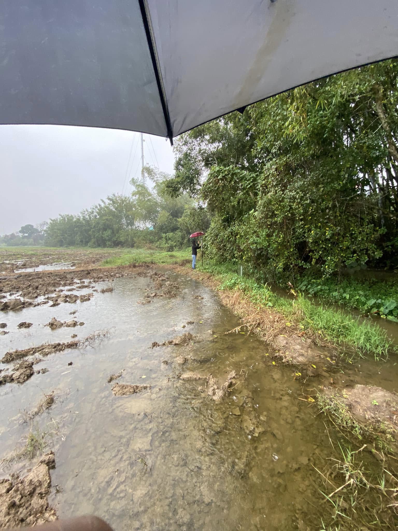 02. kiem tra dien tich thua dat cho ho dan o hai ha mong cai1