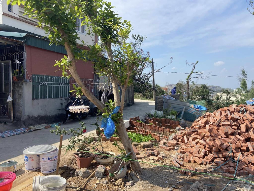 12. cam ranh thua dat cho ho dan bai chay ha long2